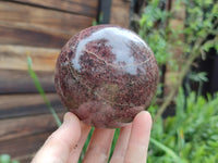 Polished Pyrope Garnet Spheres x 2 From Madagascar