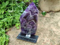 Polished Chevron Amethyst Points x 2 From Zambia