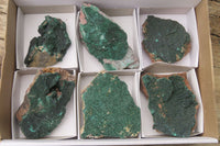 Natural Botryoidal Malachite Specimens x 6 From Tenke Fungurume, Congo