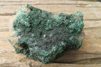 Natural Botryoidal Malachite Specimens x 6 From Tenke Fungurume, Congo