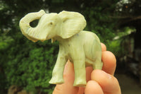 Polished Classic Butter Jade African Elephant Carving - sold per item - From South Africa