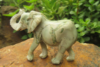 Polished Classic Butter Jade African Elephant Carving - sold per item - From South Africa