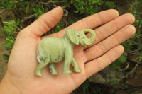 Polished Classic Butter Jade African Elephant Carving - sold per item - From South Africa