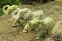 Polished Classic Butter Jade African Elephant Carving - sold per item - From South Africa