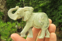 Polished Classic Butter Jade African Elephant Carving - sold per item - From South Africa