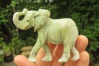 Polished Classic Butter Jade African Elephant Carving - sold per item - From South Africa