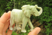 Polished Classic Butter Jade African Elephant Carving - sold per item - From South Africa