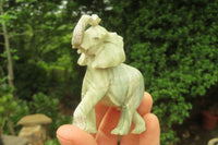 Polished Classic Butter Jade African Elephant Carving - sold per item - From South Africa