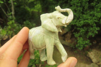 Polished Classic Butter Jade African Elephant Carving - sold per item - From South Africa