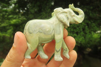 Polished Classic Butter Jade African Elephant Carving - sold per item - From South Africa