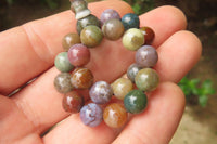 Polished Indian Agate Bead Buddha Bracelets - Sold Per Item - From India