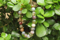 Polished Indian Agate Bead Buddha Bracelets - Sold Per Item - From India