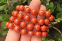 Polished Red Jasper Bead Necklace - Sold Per Item - From South Africa