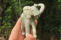 Polished Butter Jade African Elephant Carving - sold per item - From South Africa