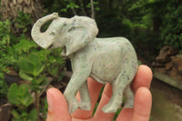 Polished Butter Jade African Elephant Carving - sold per item - From South Africa