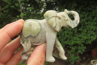 Polished Butter Jade African Elephant Carving - sold per item - From South Africa