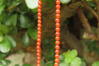 Polished Carnelian Agate Beaded Necklace - Sold per Item - From Brazil