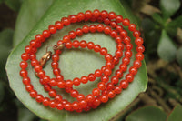 Polished Carnelian Agate Beaded Necklace - Sold per Item - From Brazil