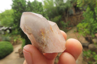 Natural Red Hematoid Quartz Crystals x 35 From Karoi, Zimbabwe