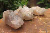 Natural Red Hematoid Quartz Crystals x 35 From Karoi, Zimbabwe