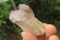 Natural Red Hematoid Quartz Crystals x 35 From Karoi, Zimbabwe