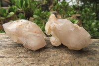 Natural Red Hematoid Quartz Crystals x 35 From Karoi, Zimbabwe