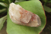 Natural Red Hematoid Quartz Crystals x 35 From Karoi, Zimbabwe