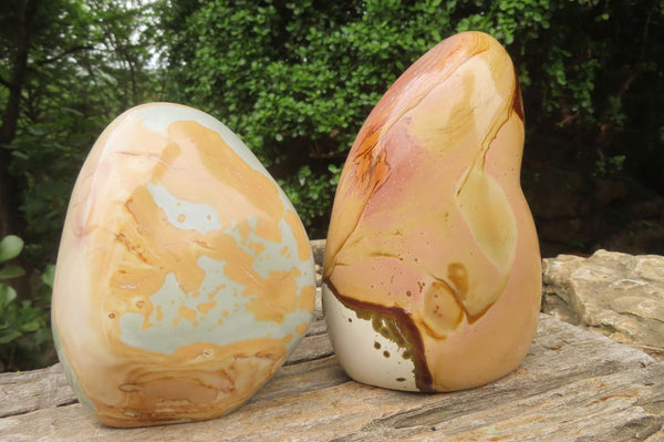 Polished Polychrome Jasper Standing Free Forms  x 2 From Mahajanga, Madagascar