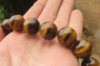 Polished Golden Tigers Eye Bead Necklaces - Sold Per Item - From South Africa