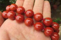 Polished Red Jasper Bead Necklace - Sold Per Item - From South Africa