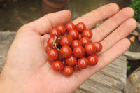 Polished Red Jasper Bead Necklace - Sold Per Item - From South Africa