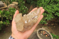 Natural Smokey Quartz Clusters x 4 From Luena, Congo