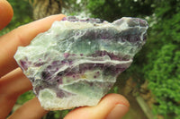 Polished On One Side Watermelon Fluorite x 24 From Uis, Namibia