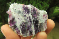 Polished On One Side Watermelon Fluorite x 24 From Uis, Namibia