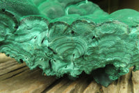 Natural Botryoidal Malachite Specimen x 1 From Tenke Fungurume, Congo