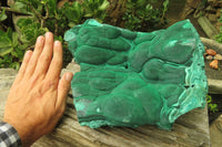 Natural Botryoidal Malachite Specimen x 1 From Tenke Fungurume, Congo