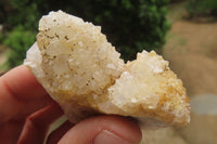 Natural Spirit Quartz Clusters x 12 From Boekenhouthoek, South Africa