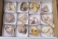 Natural Spirit Quartz Clusters x 12 From Boekenhouthoek, South Africa