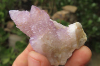 Natural Spirit Quartz Clusters x 12 From Boekenhouthoek, South Africa