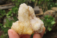 Natural Spirit Quartz Clusters x 12 From Boekenhouthoek, South Africa