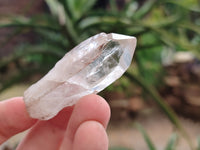 Natural Clear Quartz Crystals x 68 From Madagascar