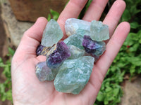 Natural Watermelon Fluorite Cobbed Specimens x 3 Kg Lot From Uis, Namibia