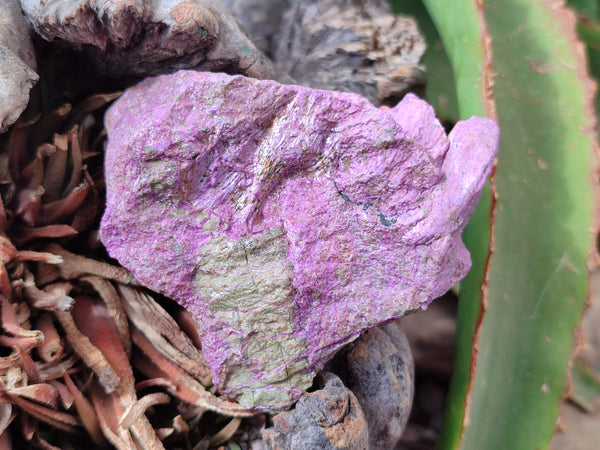 Natural Stichtite Cobbed Specimens x 14 From Barberton, South Africa