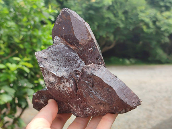 Natural Smokey Quartz Crystal Specimens x 2 From Zomba, Malawi