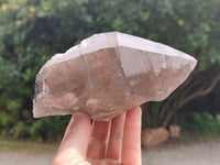 Natural Smokey Quartz Crystal Specimens x 2 From Zomba, Malawi