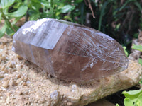 Natural Smokey Quartz Crystal Specimens x 2 From Zomba, Malawi