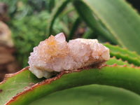 Natural Amethyst Spirit Quartz Clusters x 20 From Boekenhouthoek, South Africa