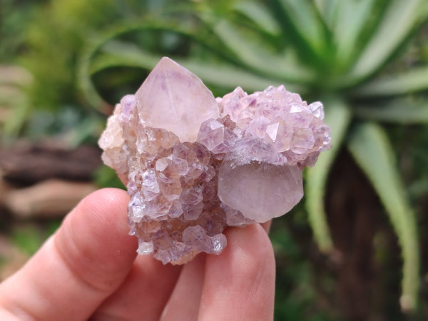 Natural Amethyst Spirit Quartz Clusters x 20 From Boekenhouthoek, South Africa