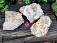 Natural Limonite Quartz Geodes x 3 From Solwezi, Zambia