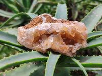 Natural Limonite Quartz Geodes x 12 From Solwezi, Zambia